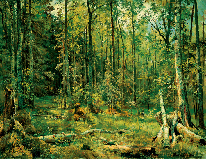  伊凡·伊凡诺维奇·希施金 Ivan I. Shishkin —— Ivan Shishkin-013